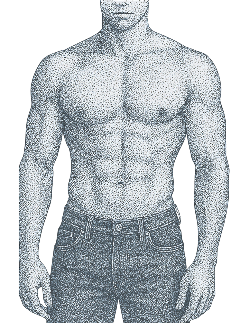 Lean Body Visual Example Explore Our V- Fit – Lean Lines